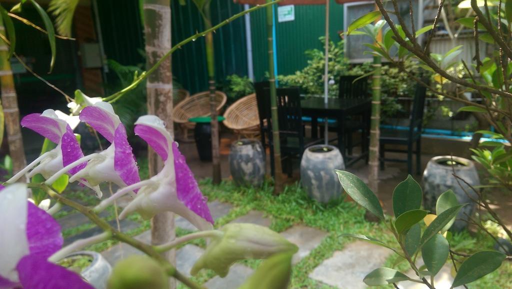 Siem Reap Green Home Guesthouse Zewnętrze zdjęcie